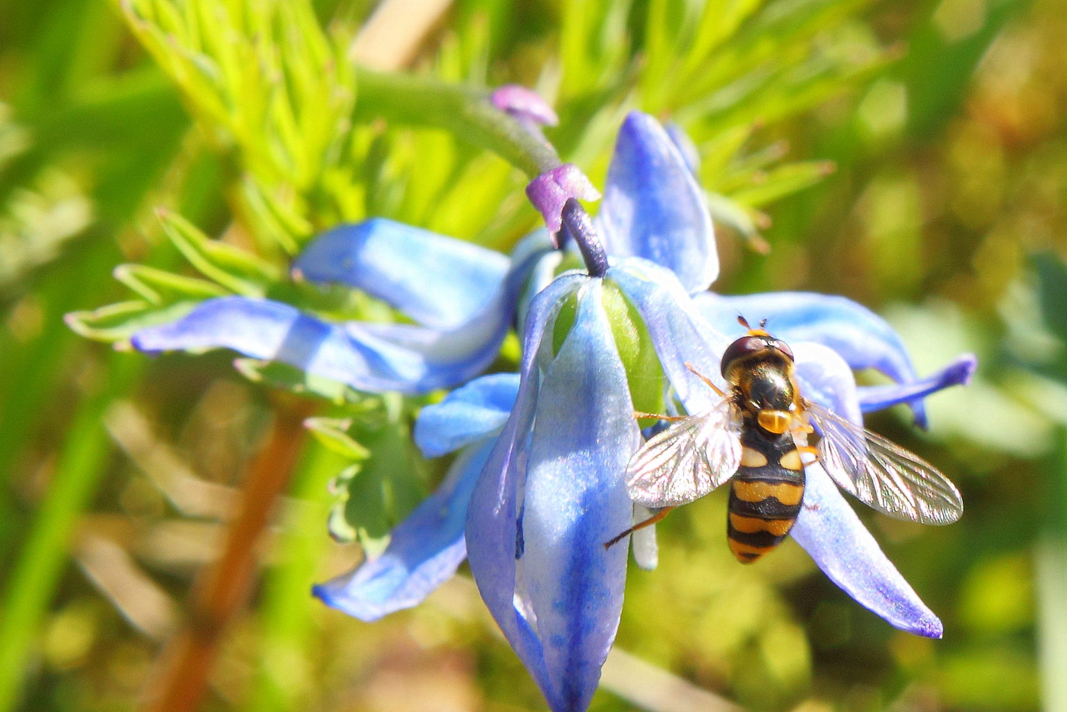 Valokuvaaja: Sami Korhonen