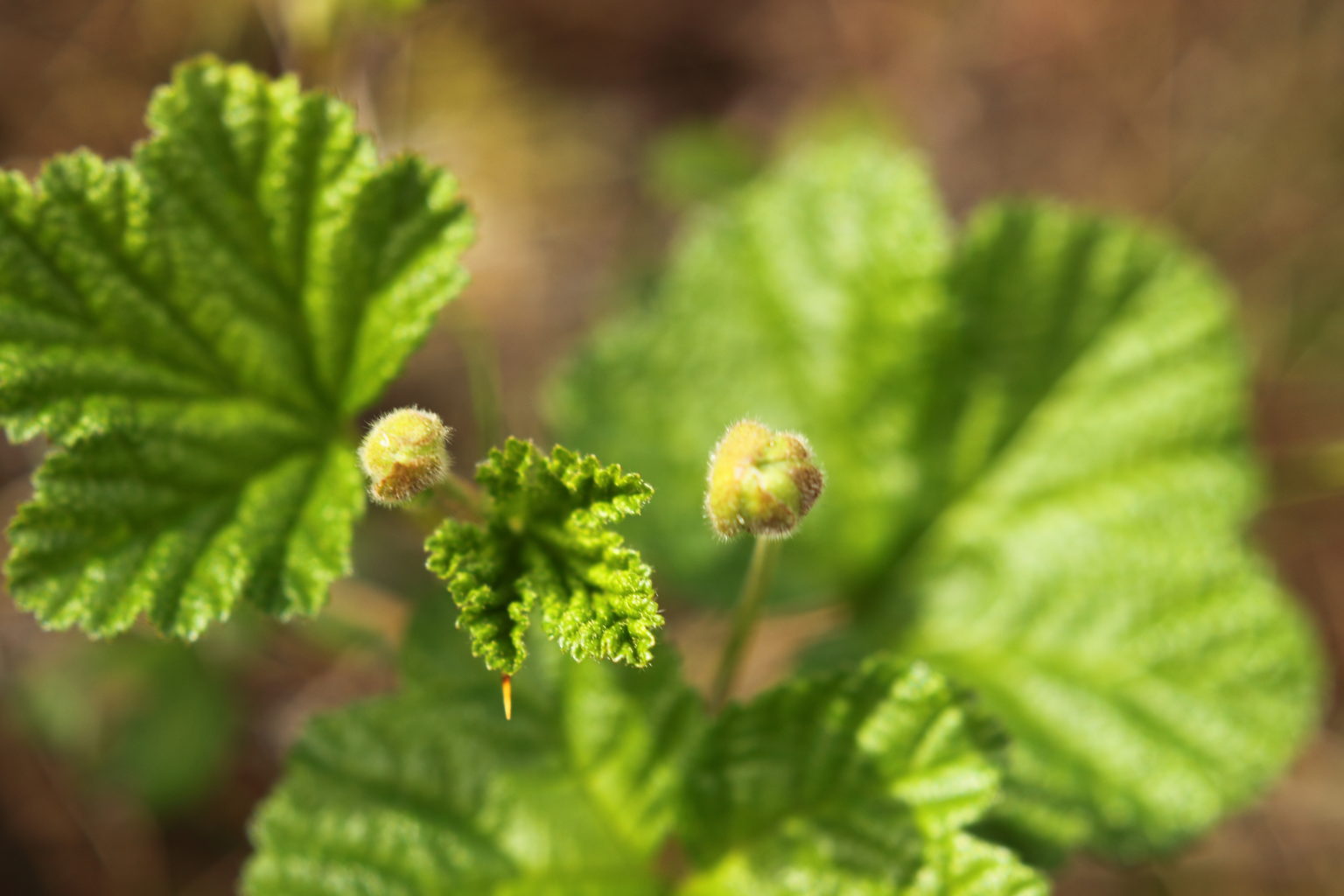 Valokuvaaja: Sami Korhonen
