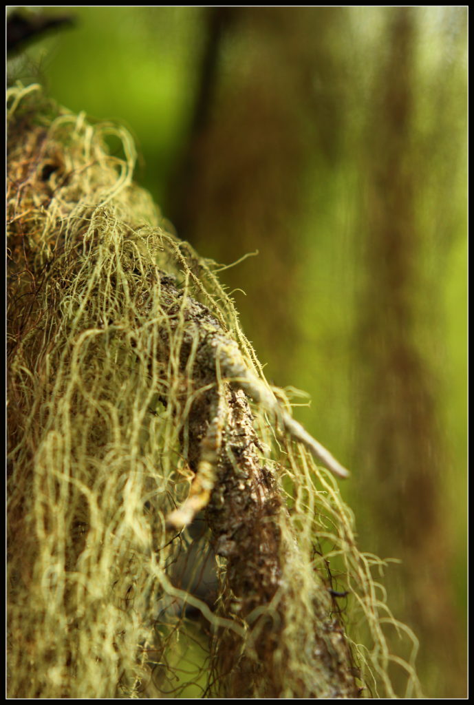 Valokuvaaja: Sami Korhonen