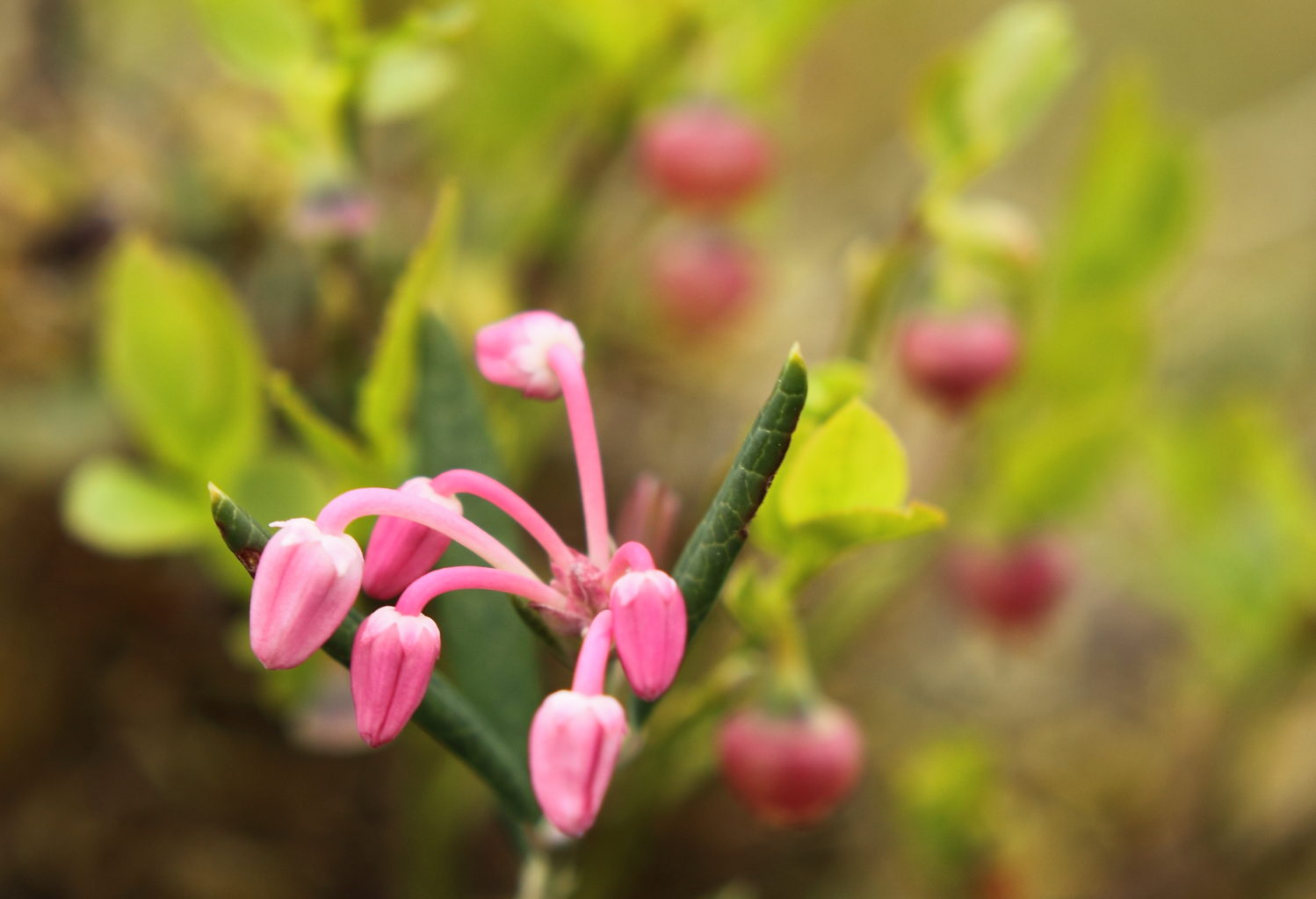 Valokuvaaja: Sami Korhonen
