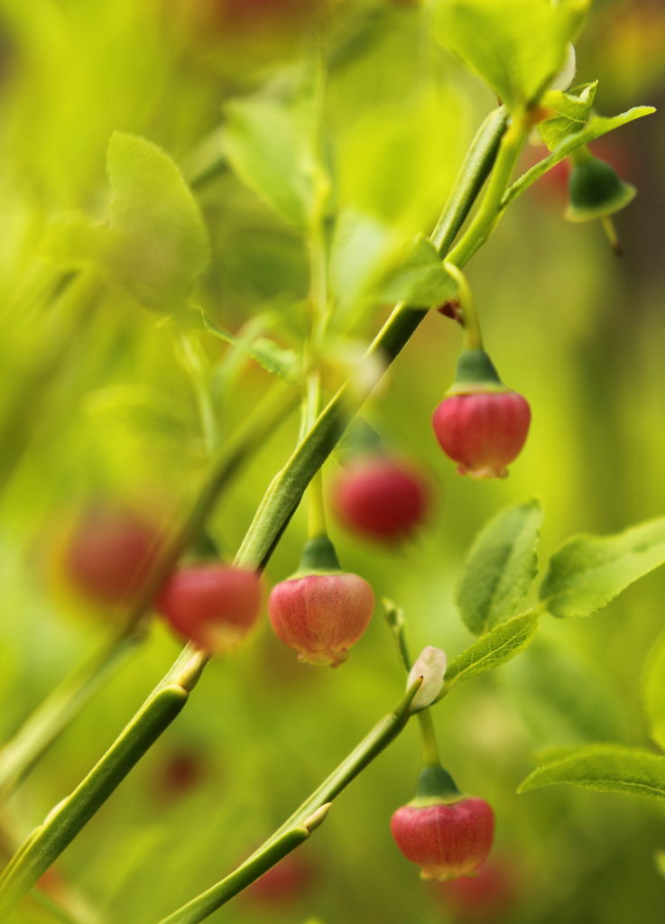 Valokuvaaja: Sami Korhonen Valokuvaaja: Sami Korhonen