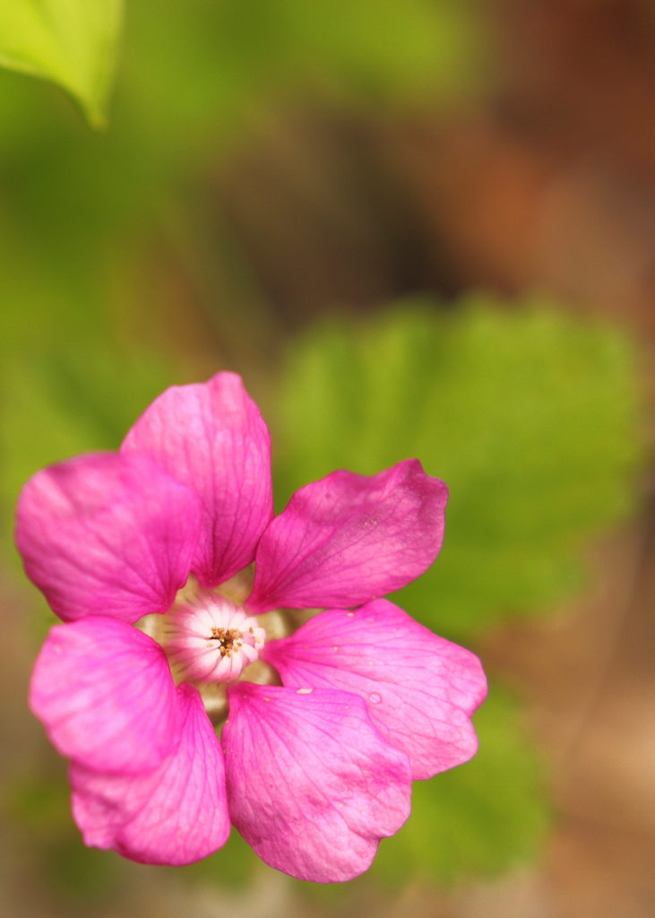 Valokuvaaja: Sami Korhonen