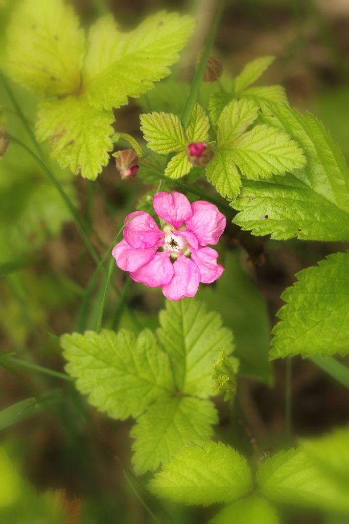 Valokuvaaja: Sami Korhonen