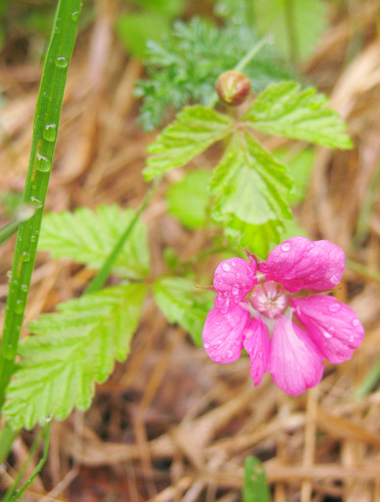 Valokuvaaja: Sami Korhonen