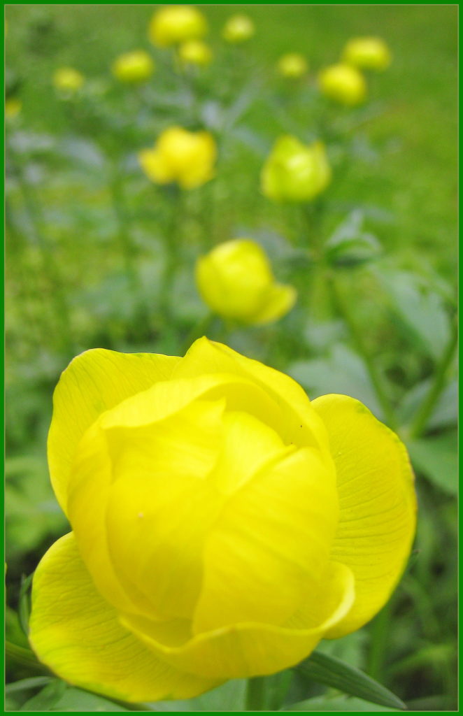 Valokuvaaja: Sami Korhonen