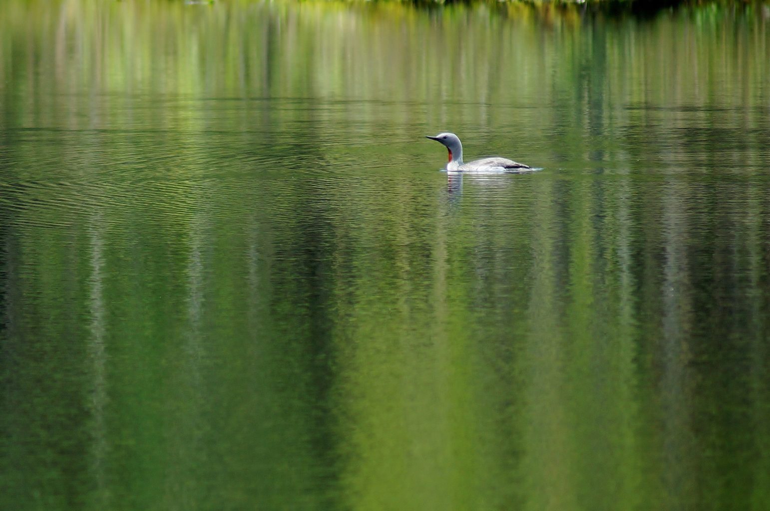 Valokuvaaja: Maarit Siitonen
