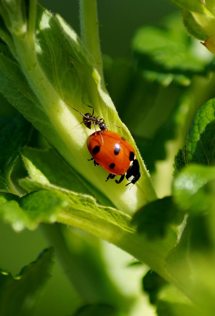 Valokuvaaja: Maarit Siitonen