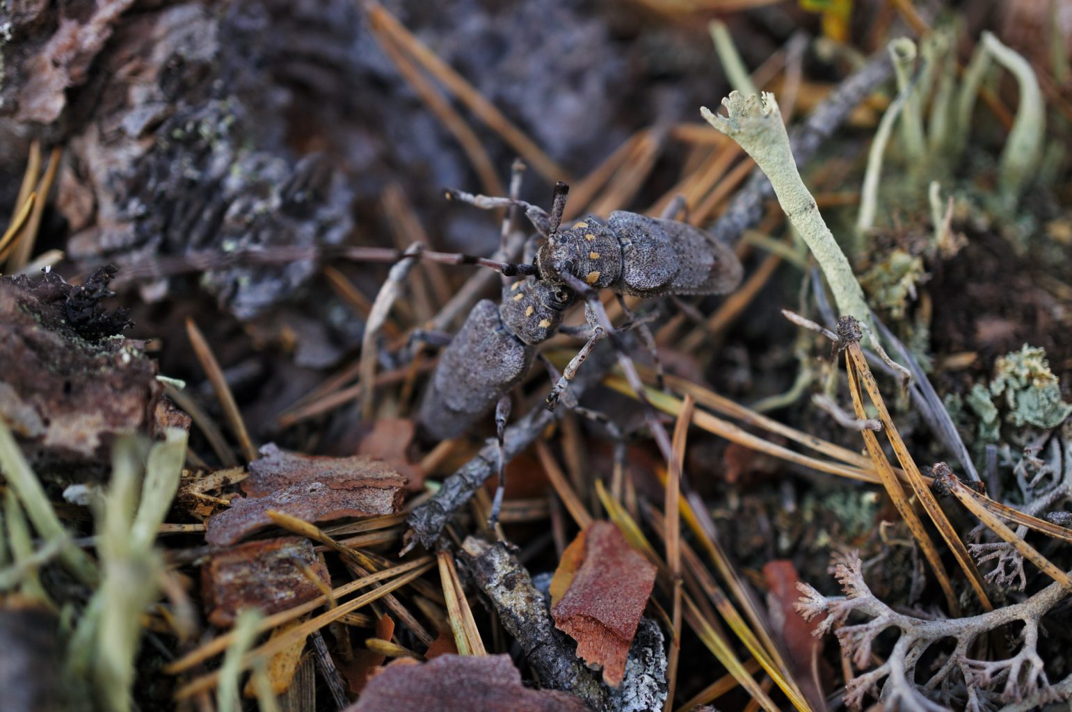 Valokuvaaja: Minna Blomqvist