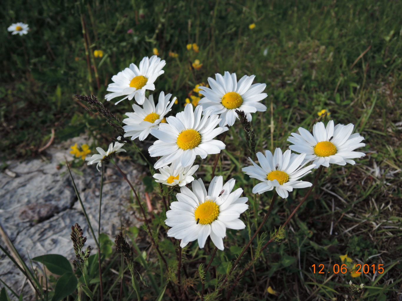 Valokuvaaja: Juhani Oksanen Valokuvaaja: Juhani Oksanen