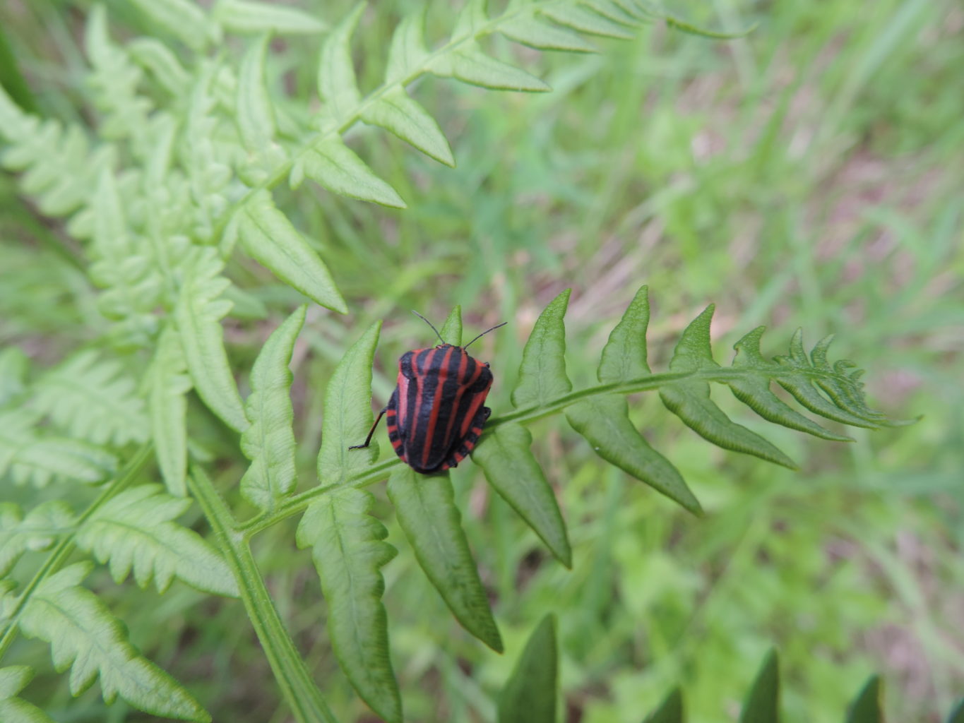Valokuvaaja: Anu Plit