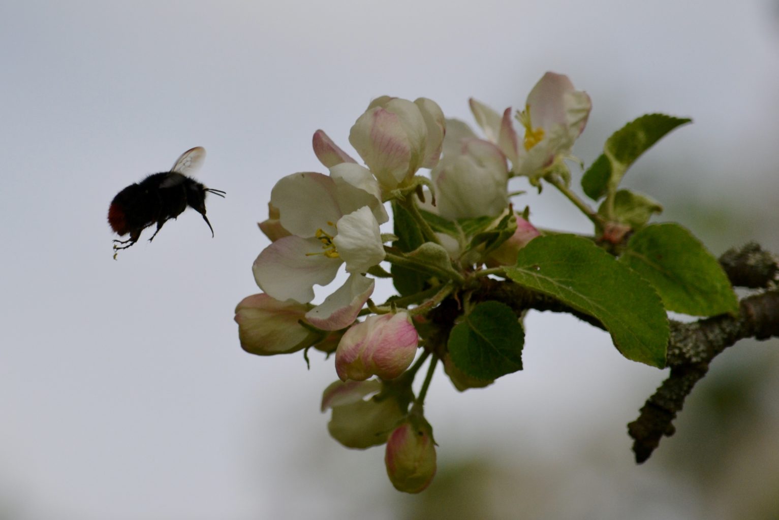 Valokuvaaja: LEENA LATVALA Valokuvaaja: LEENA LATVALA