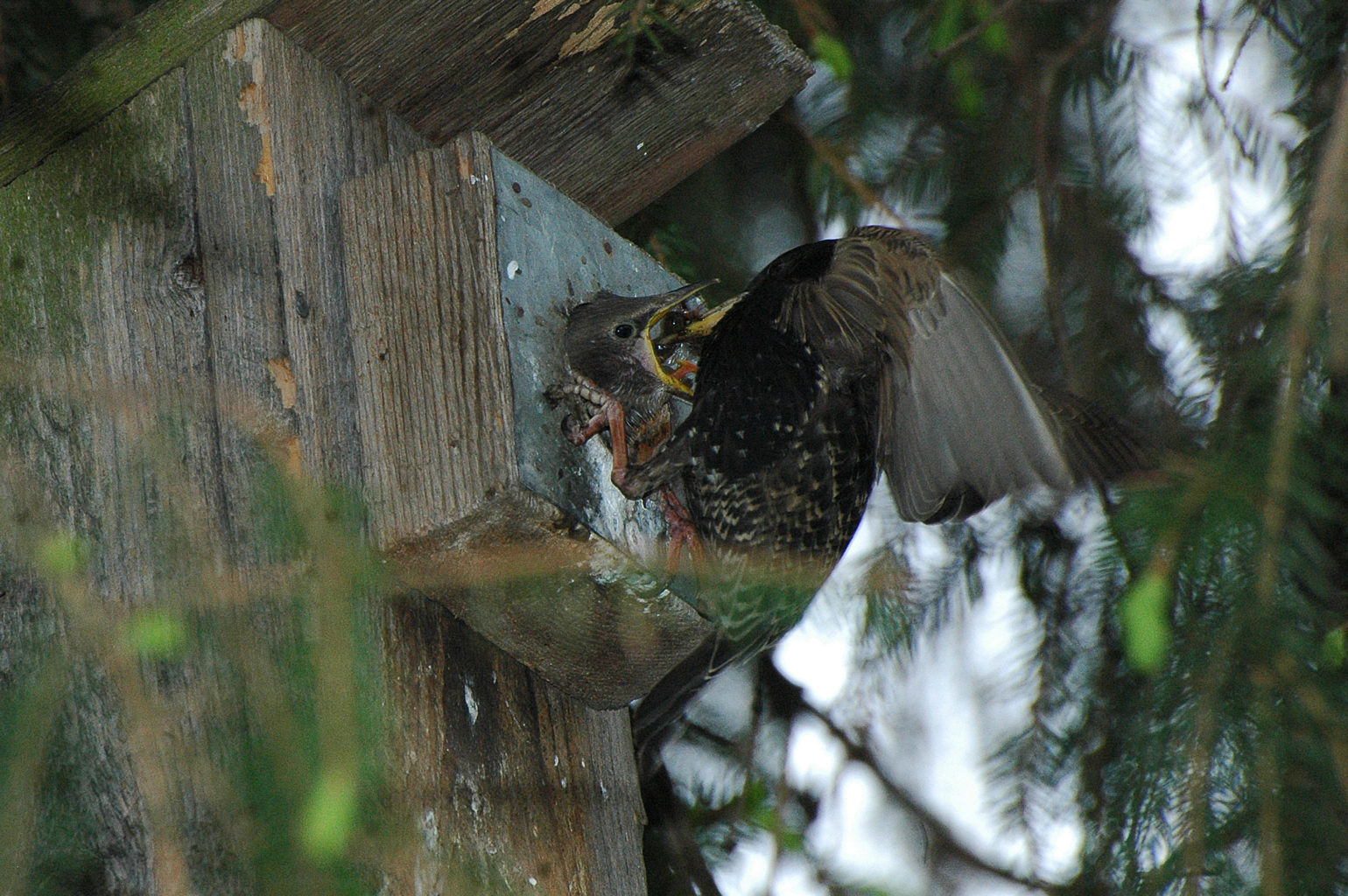 Valokuvaaja: Paavo Siukonen