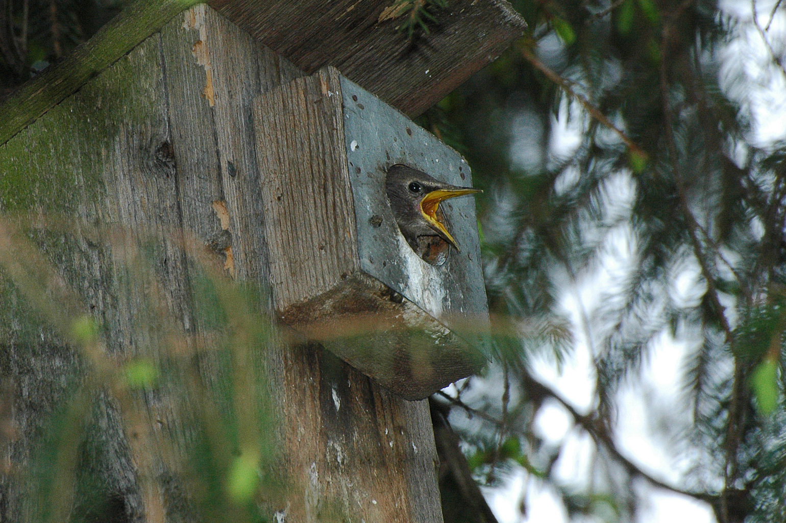 Valokuvaaja: Paavo Siukonen