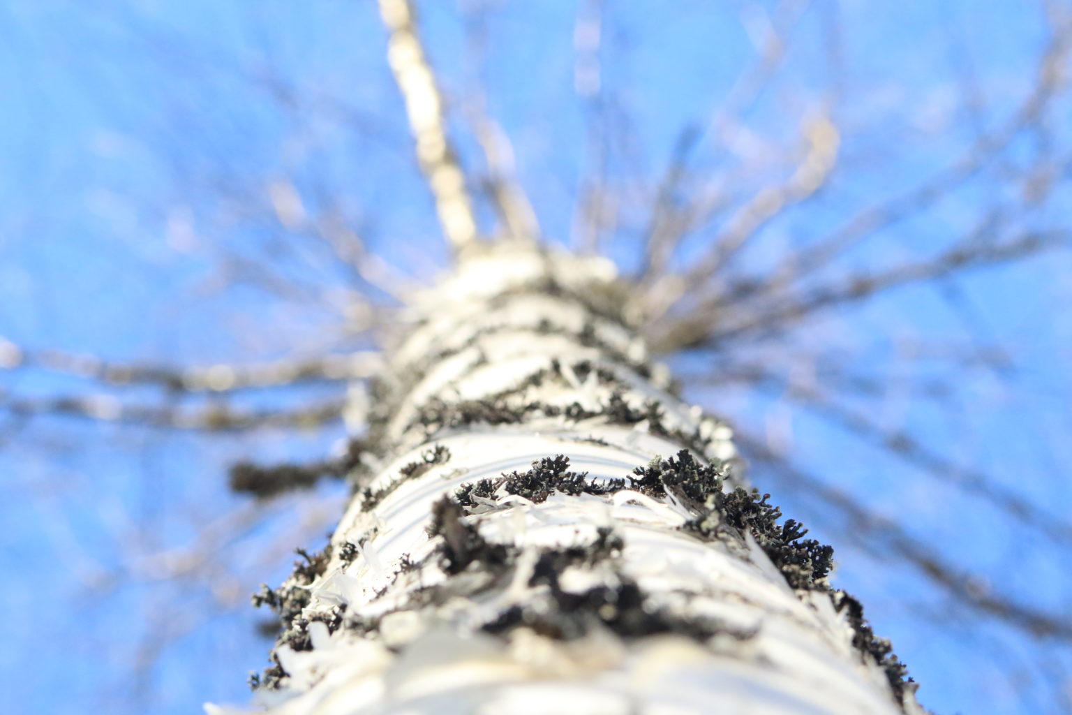 Valokuvaaja: Milka Turila