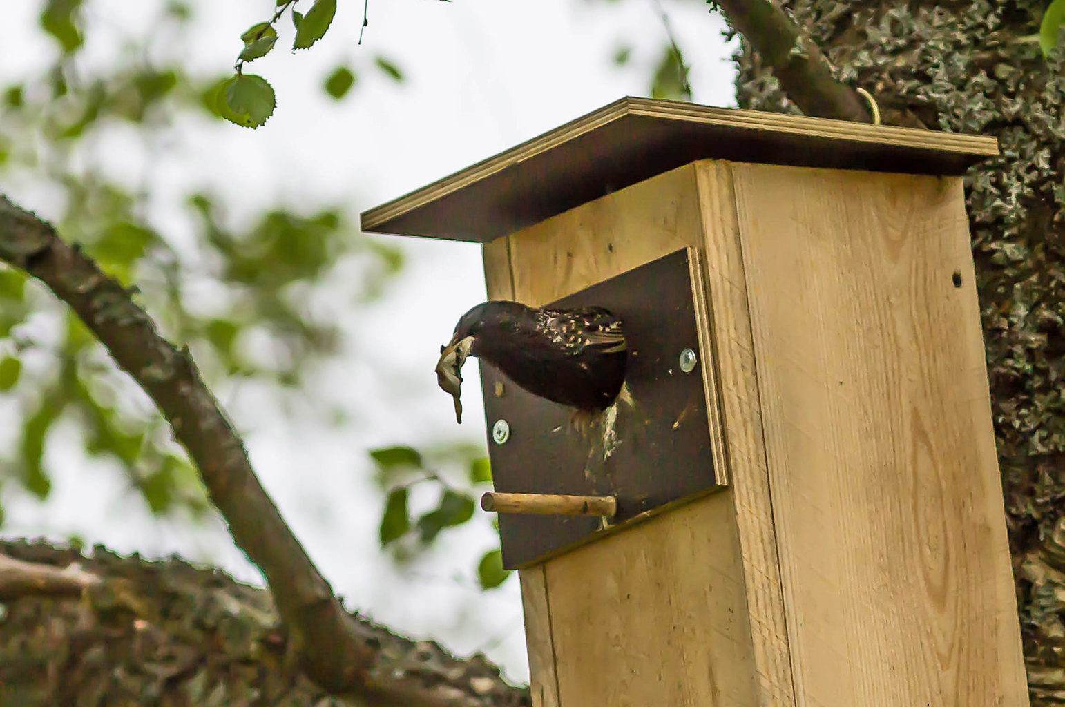 Valokuvaaja: Irma Kortekallio