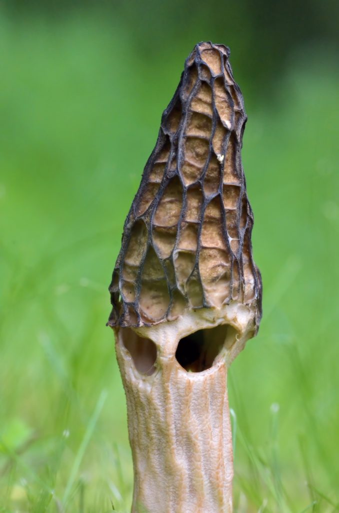 Valokuvaaja: Arimo Eklund