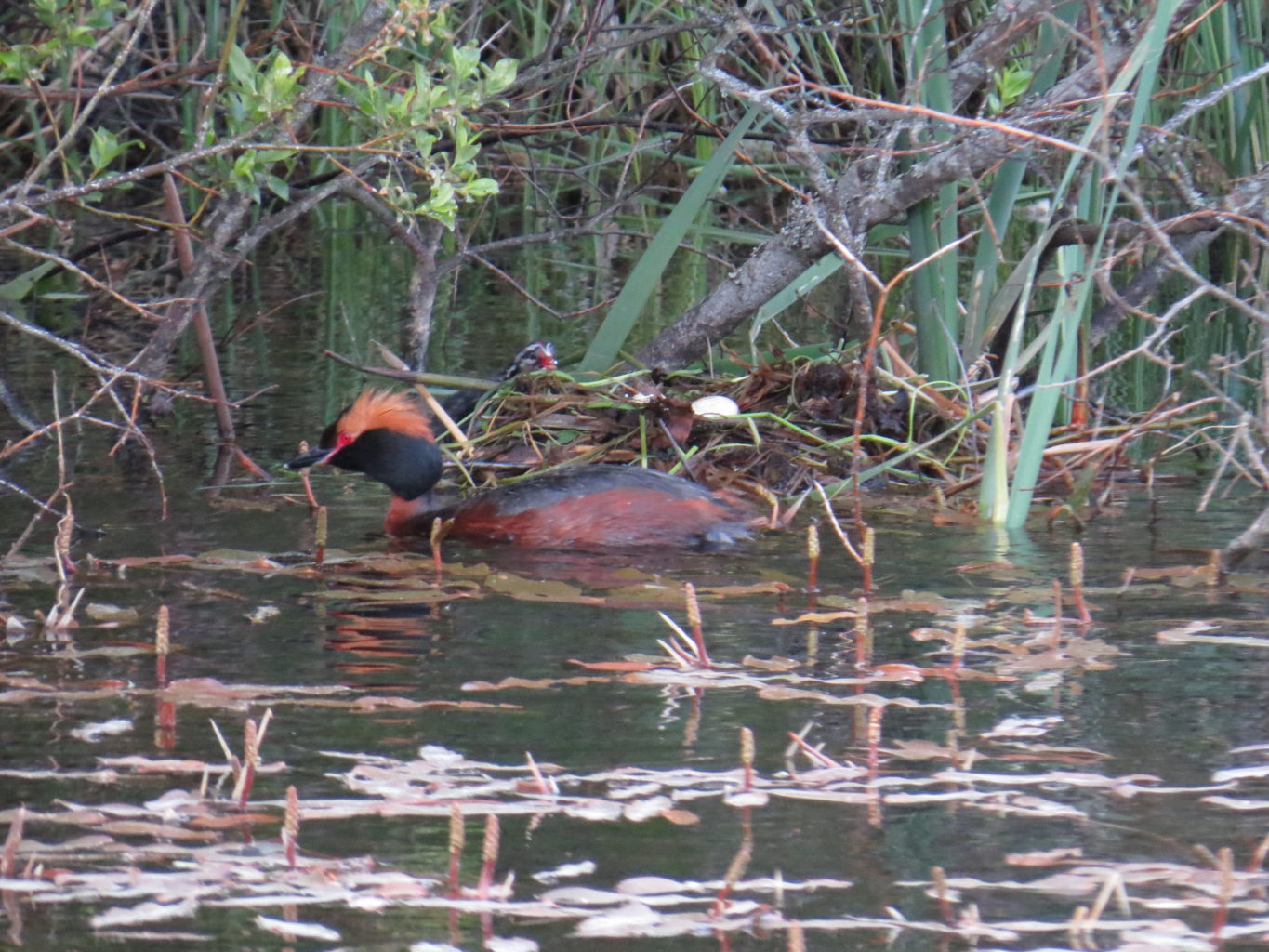 Valokuvaaja: Sirpa Uusi-Uola Valokuvaaja: Sirpa Uusi-Uola