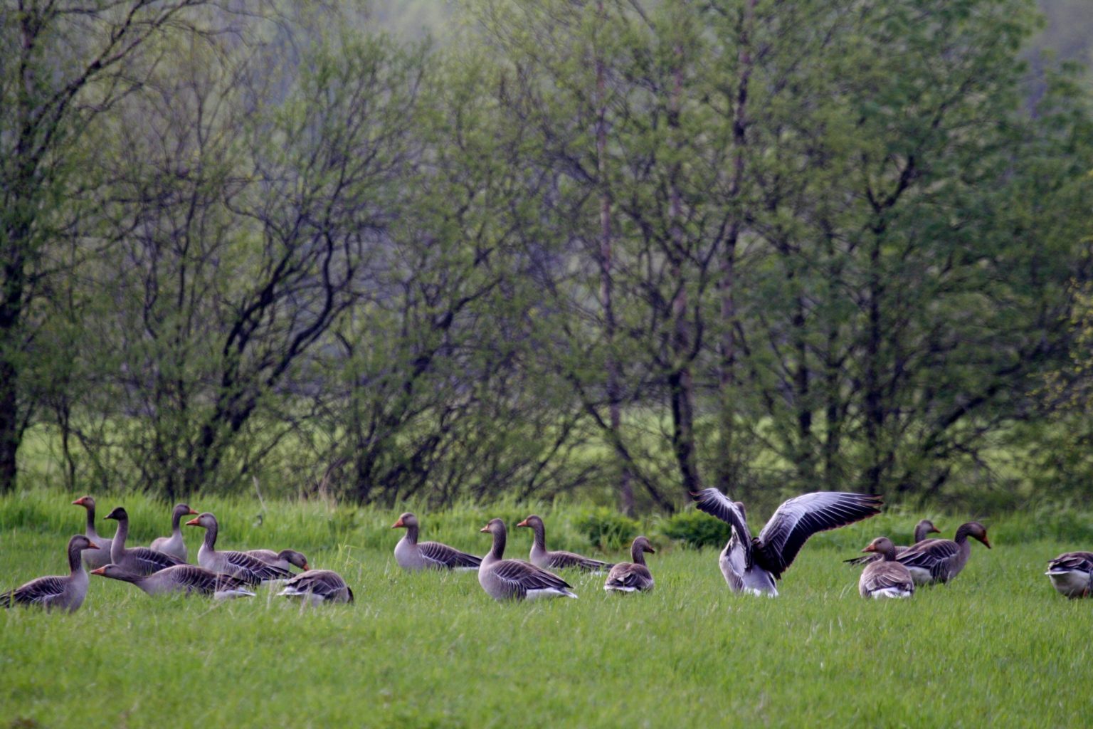 Valokuvaaja: Pirkko Siukonen