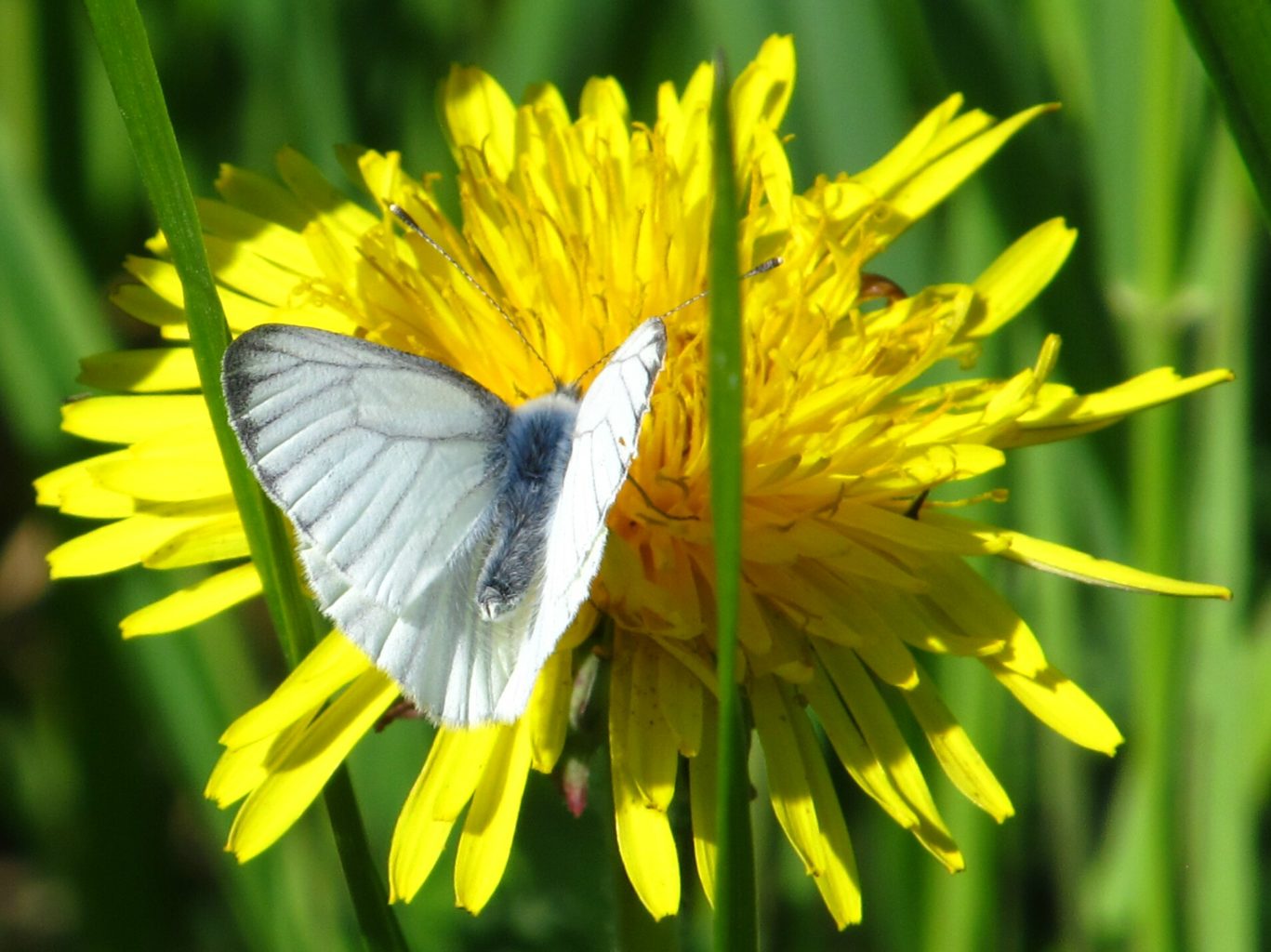 Valokuvaaja: Tuula Makkonen
