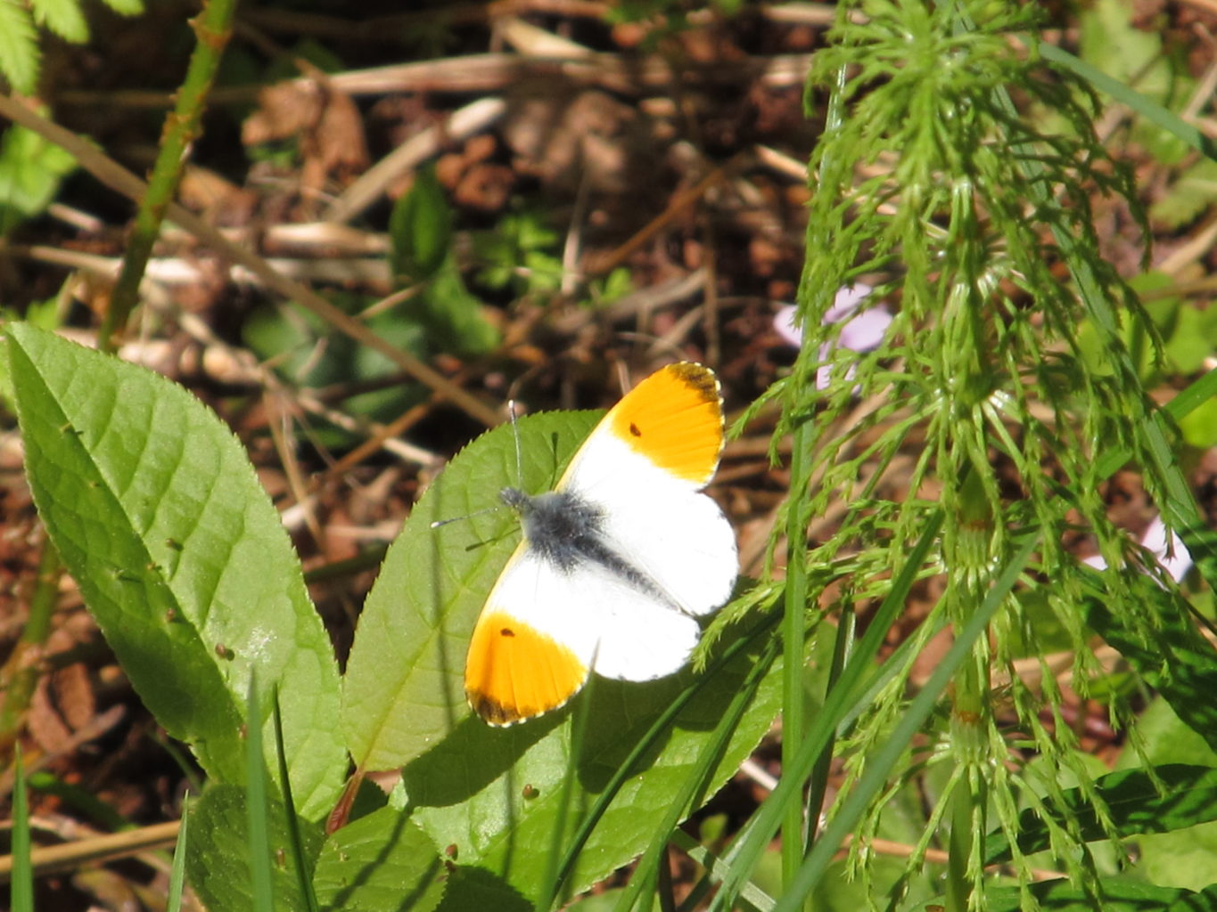 Valokuvaaja: Tuula Makkonen