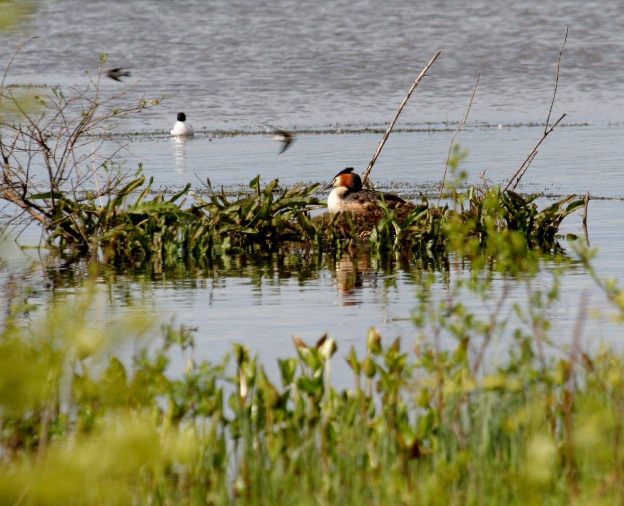 Valokuvaaja: Pirkko Siukonen