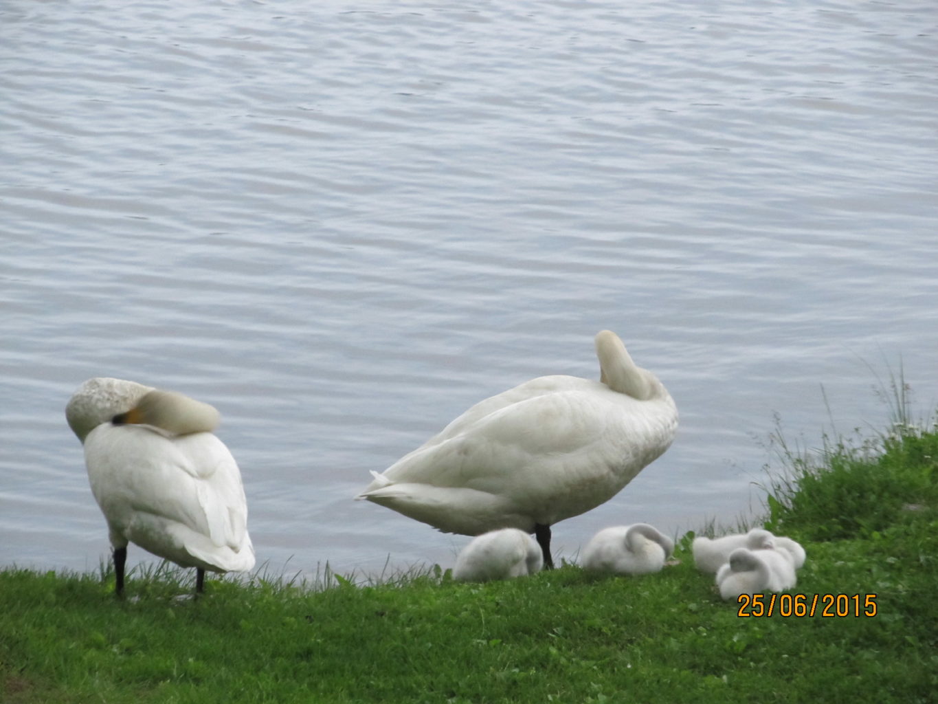 Valokuvaaja: Tuula Makkoen