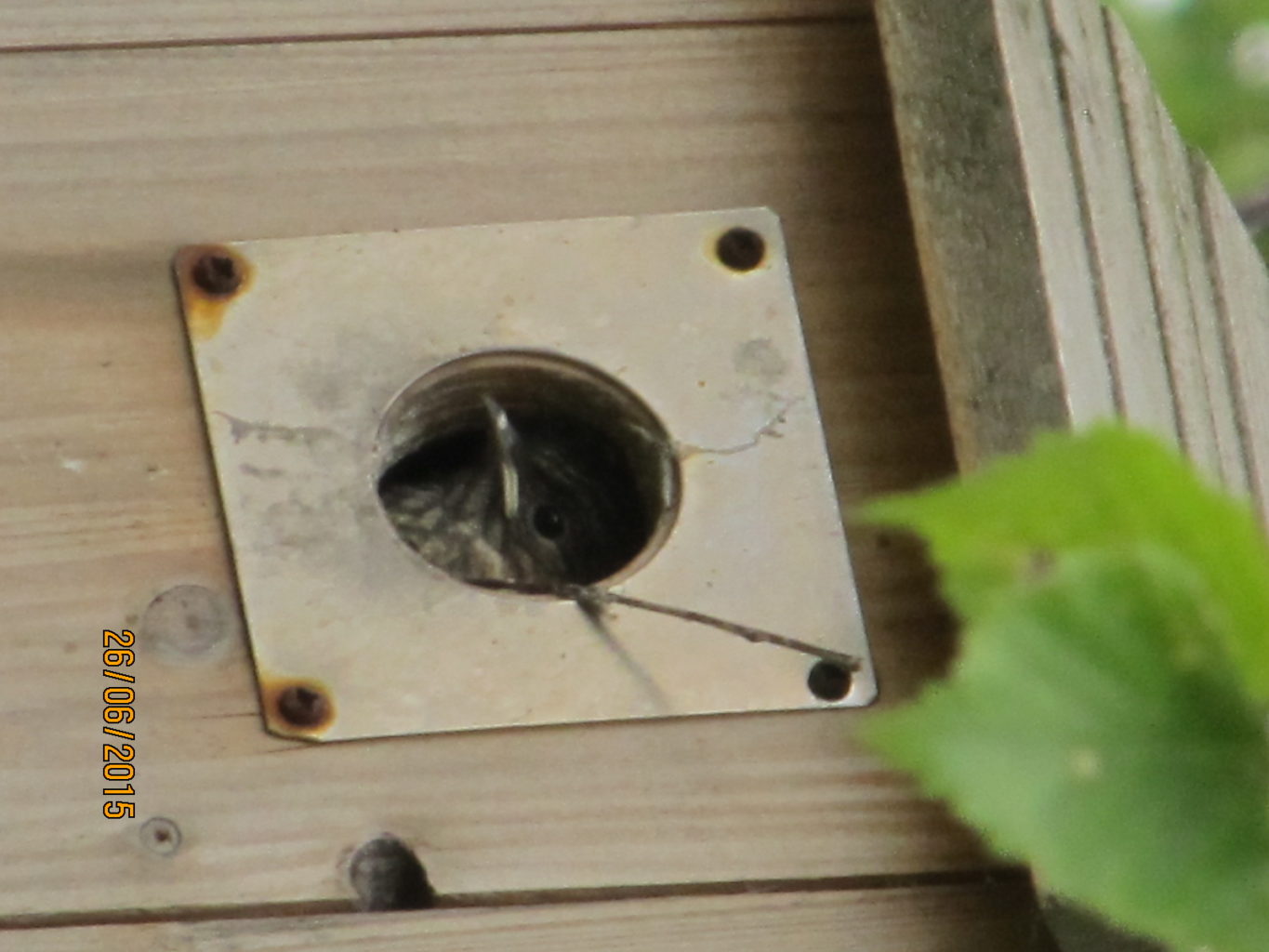 Valokuvaaja: Tuula Makkoen