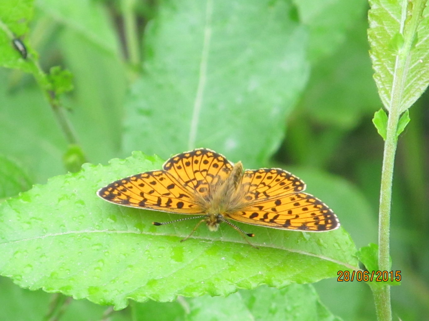 Valokuvaaja: Tuula Makkonen