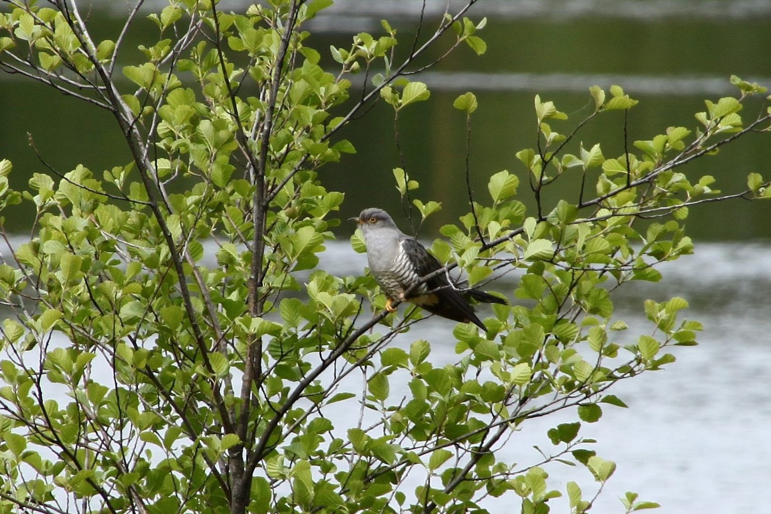 Valokuvaaja: Päivi Simonen