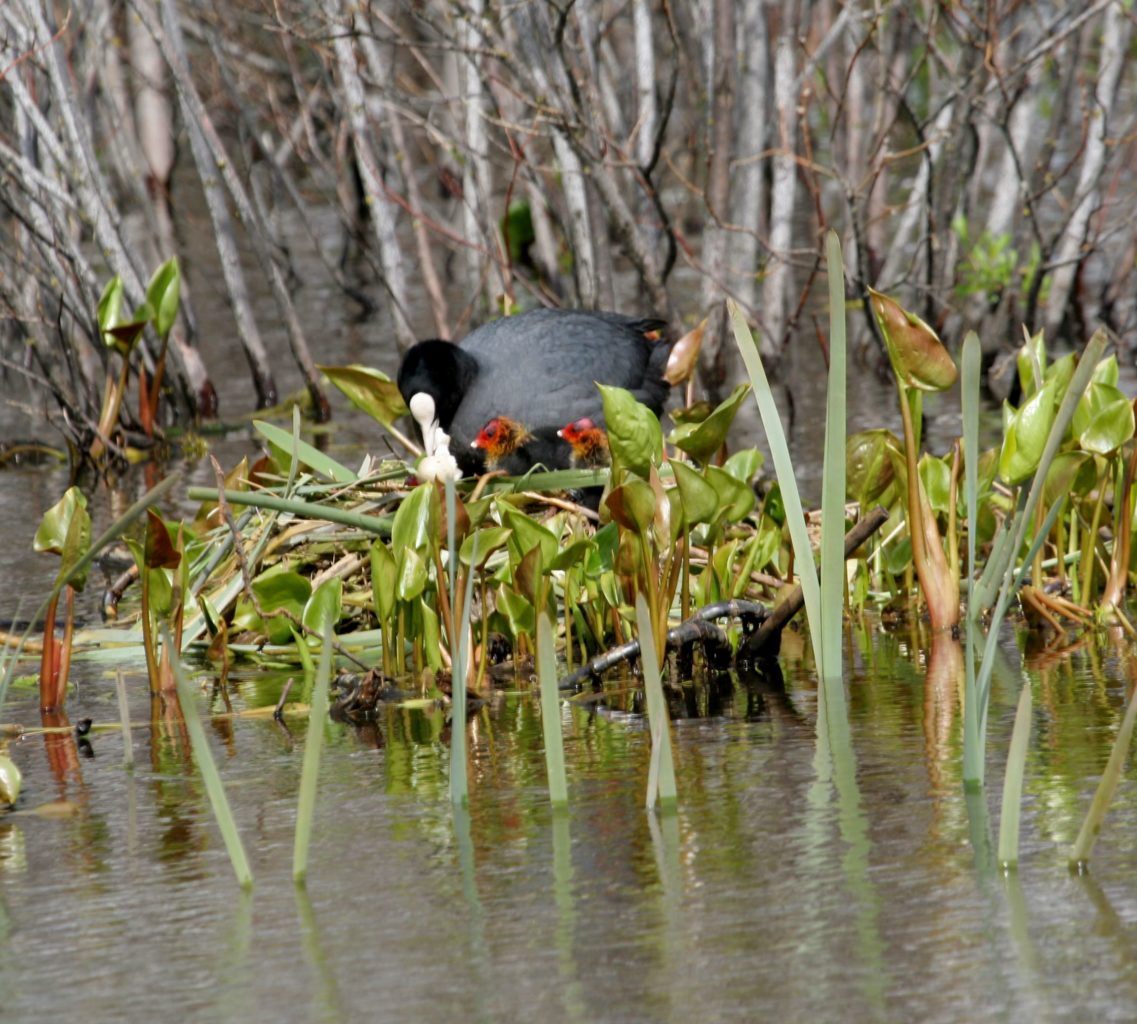 Valokuvaaja: Pirkko Siukonen