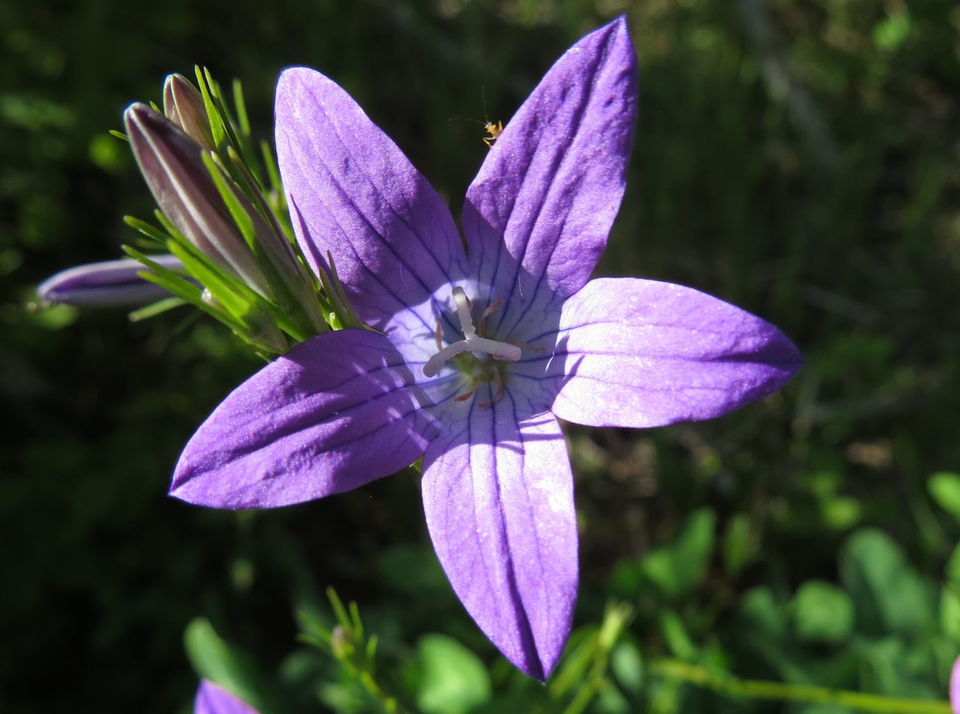 Valokuvaaja: Sirpa Uusi-Uola Valokuvaaja: Sirpa Uusi-Uola