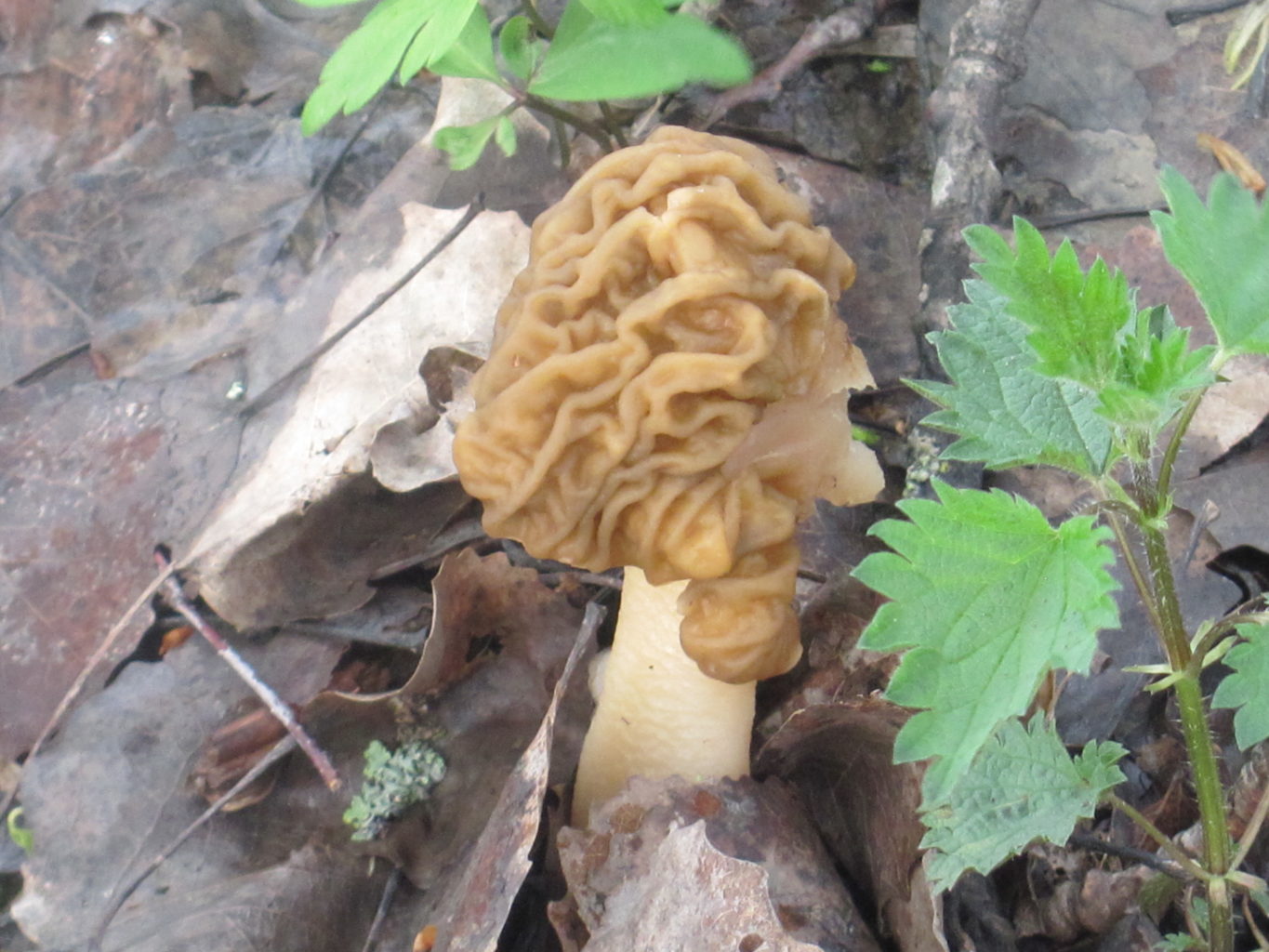 Valokuvaaja: Christina forsberg