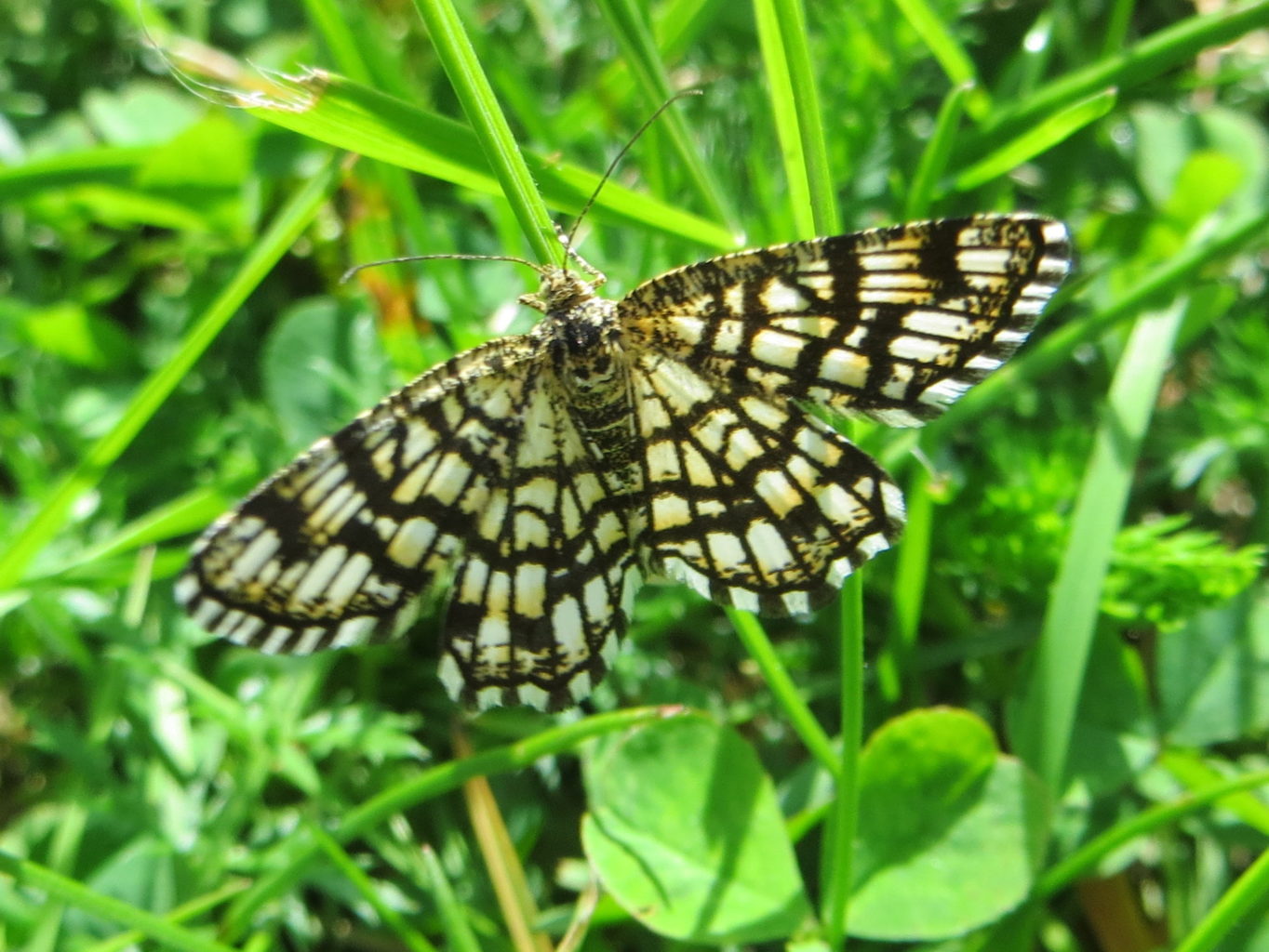 Valokuvaaja: Sirkka Ruotoistenmäki