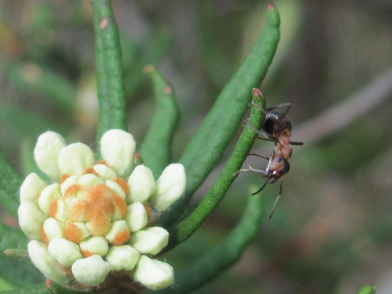 Valokuvaaja: Christina forsberg