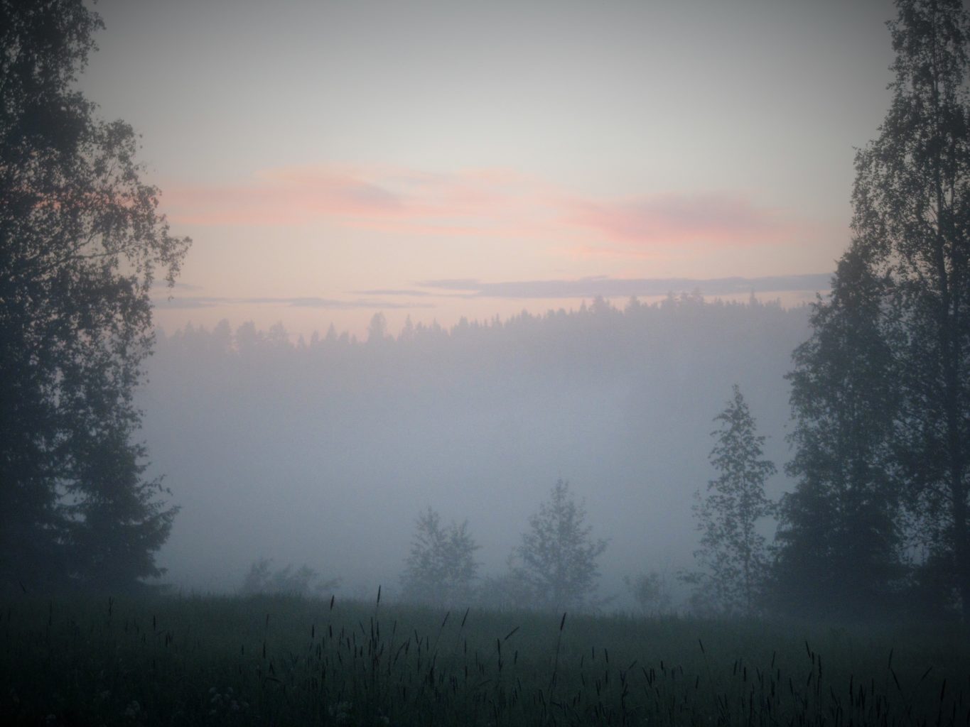 Valokuvaaja: Elina Pallas