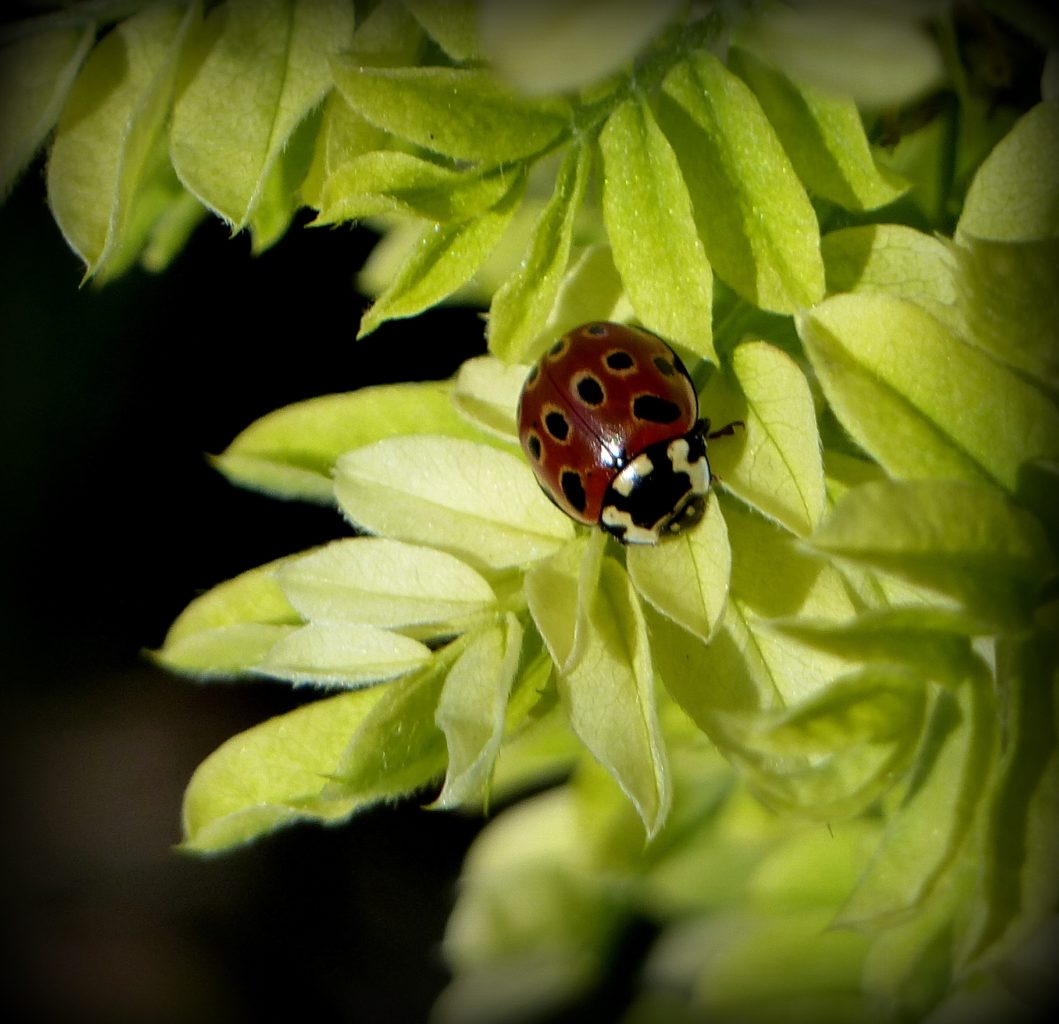 Valokuvaaja: Helena Fagerlund