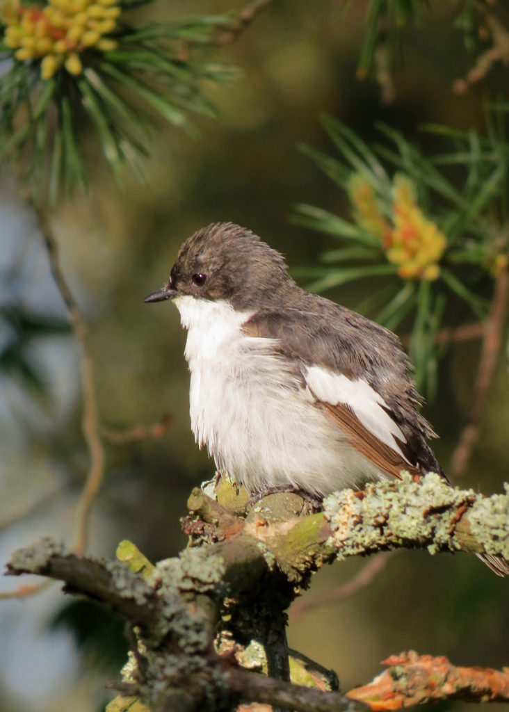 Valokuvaaja: Jaana Talvinen