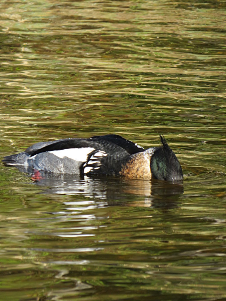 Valokuvaaja: Jaana Talvinen Valokuvaaja: Jaana Talvinen