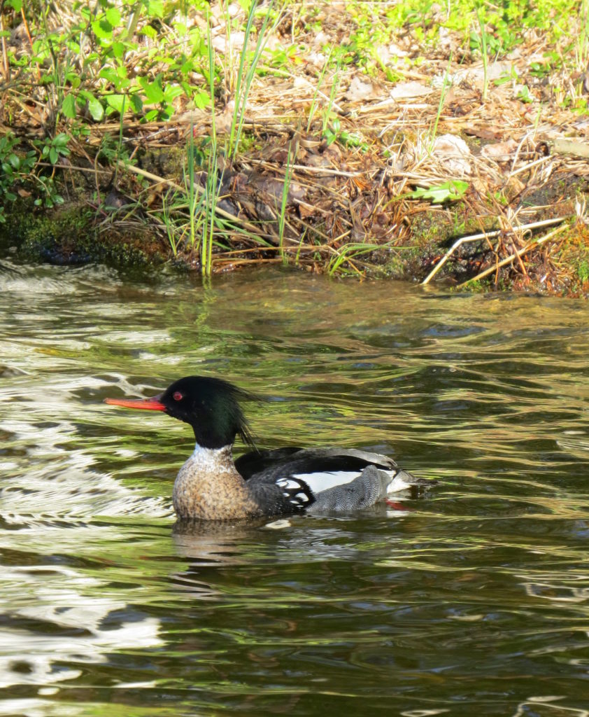 Valokuvaaja: Jaana Talvinen