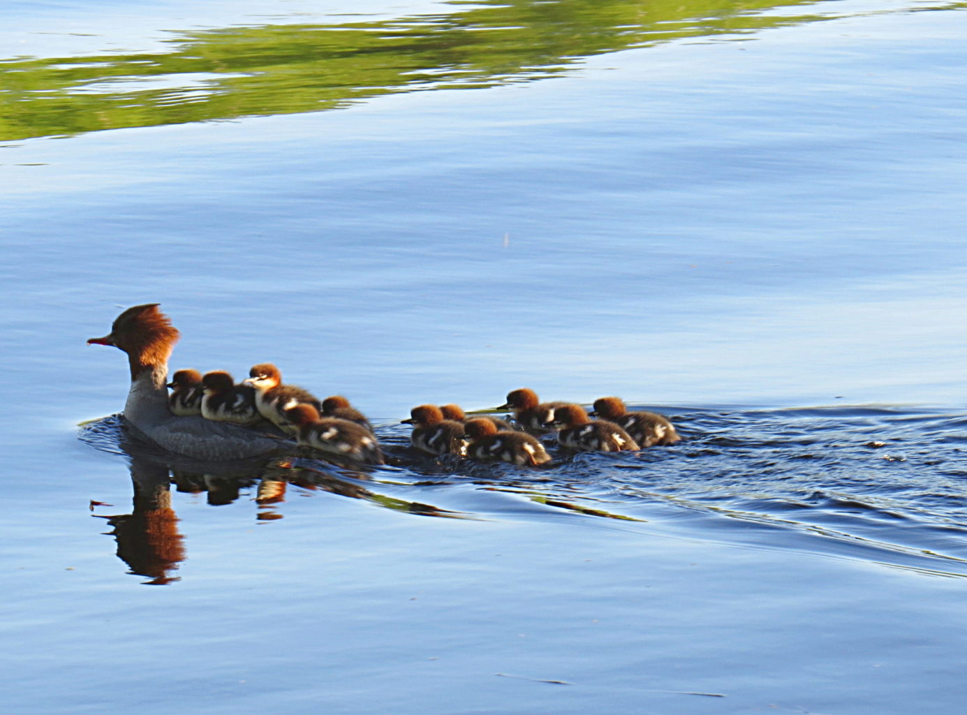 Valokuvaaja: Jaana Talvinen