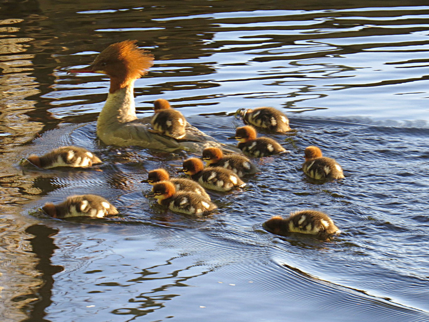 Valokuvaaja: Jaana Talvinen