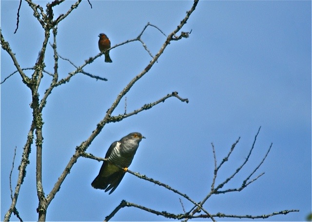 Valokuvaaja: Markku Ranta-Eilola