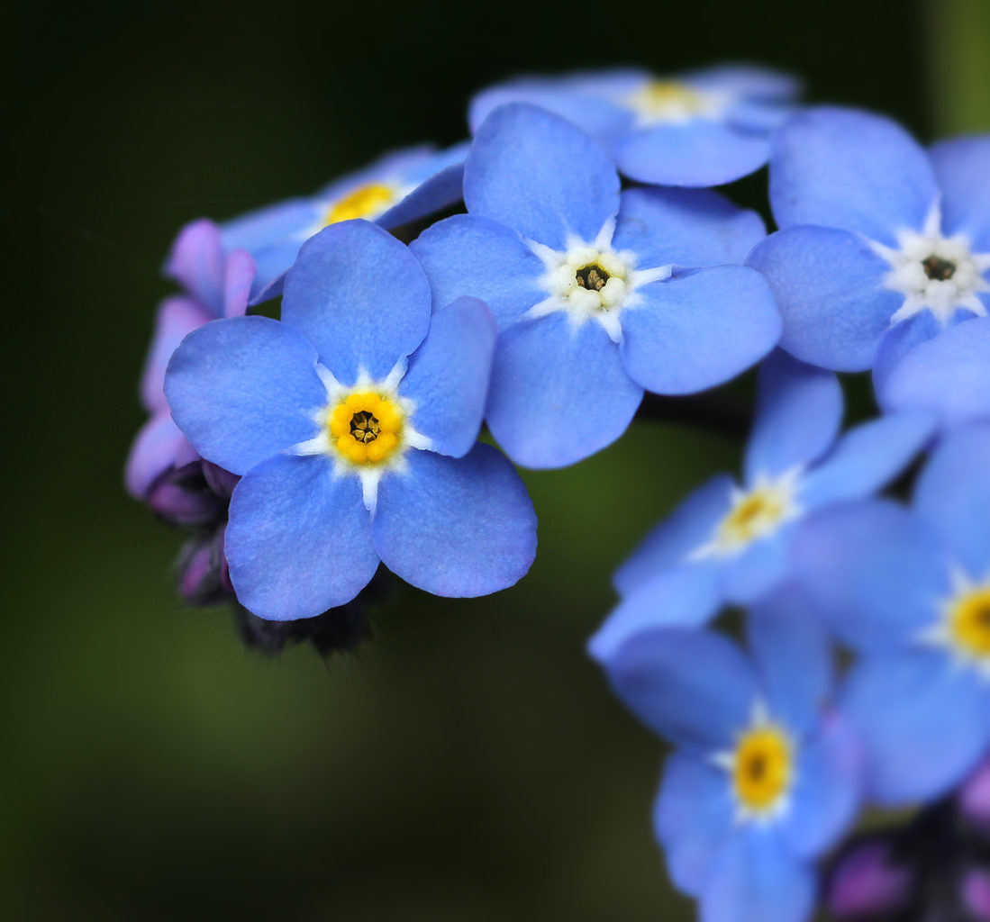Valokuvaaja: Tarja Porkkala