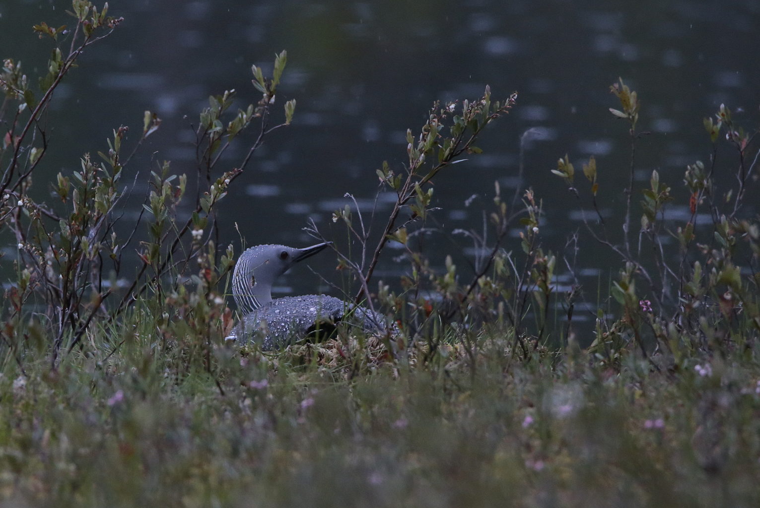 Valokuvaaja: Jukka Tuovinen