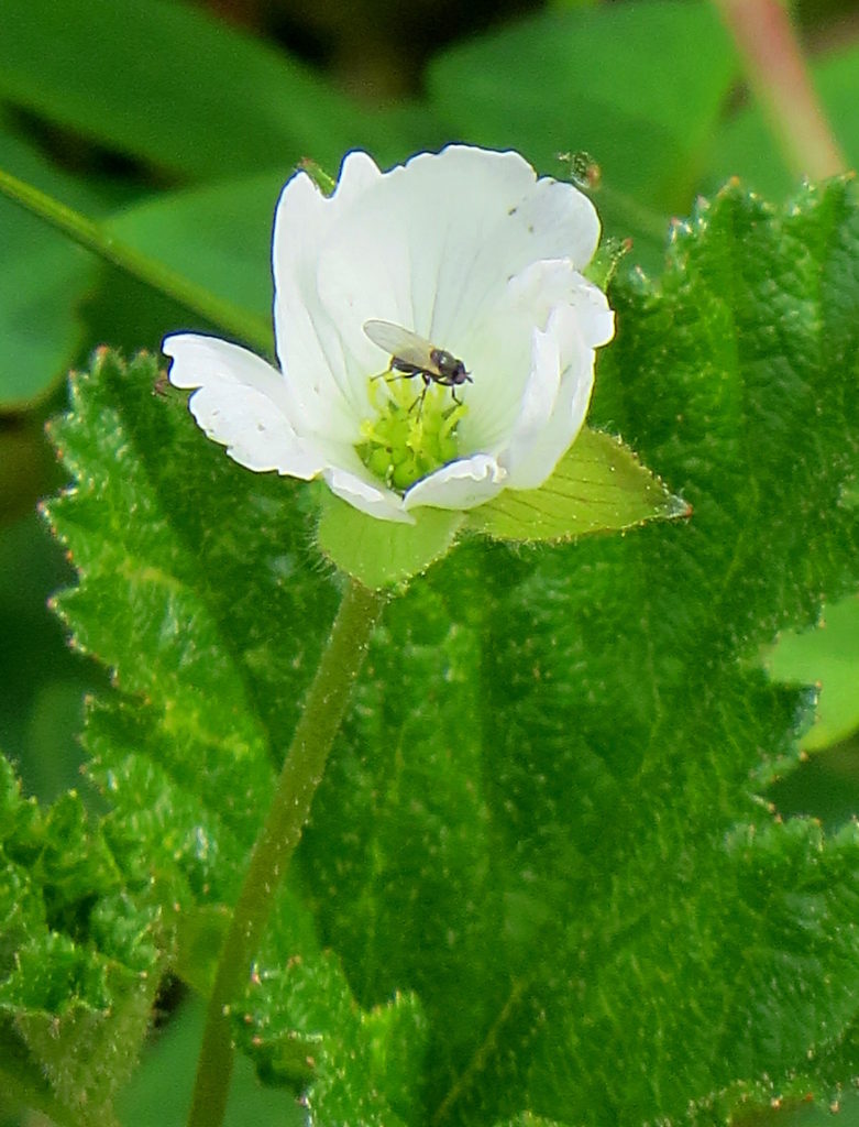Valokuvaaja: Jaana Talvinen