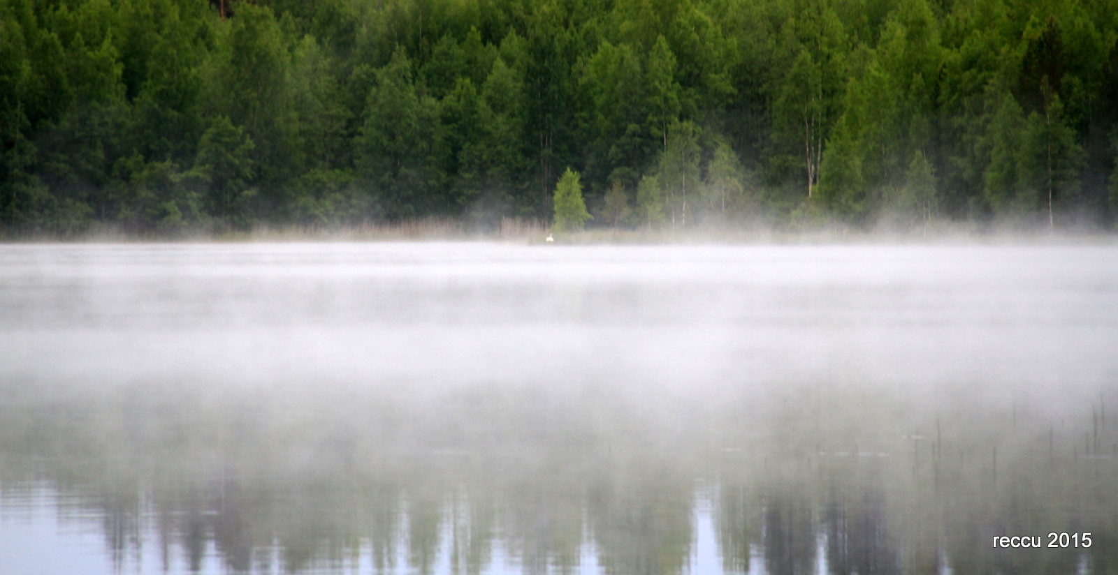 Valokuvaaja: reijo lehtonen Valokuvaaja: reijo lehtonen