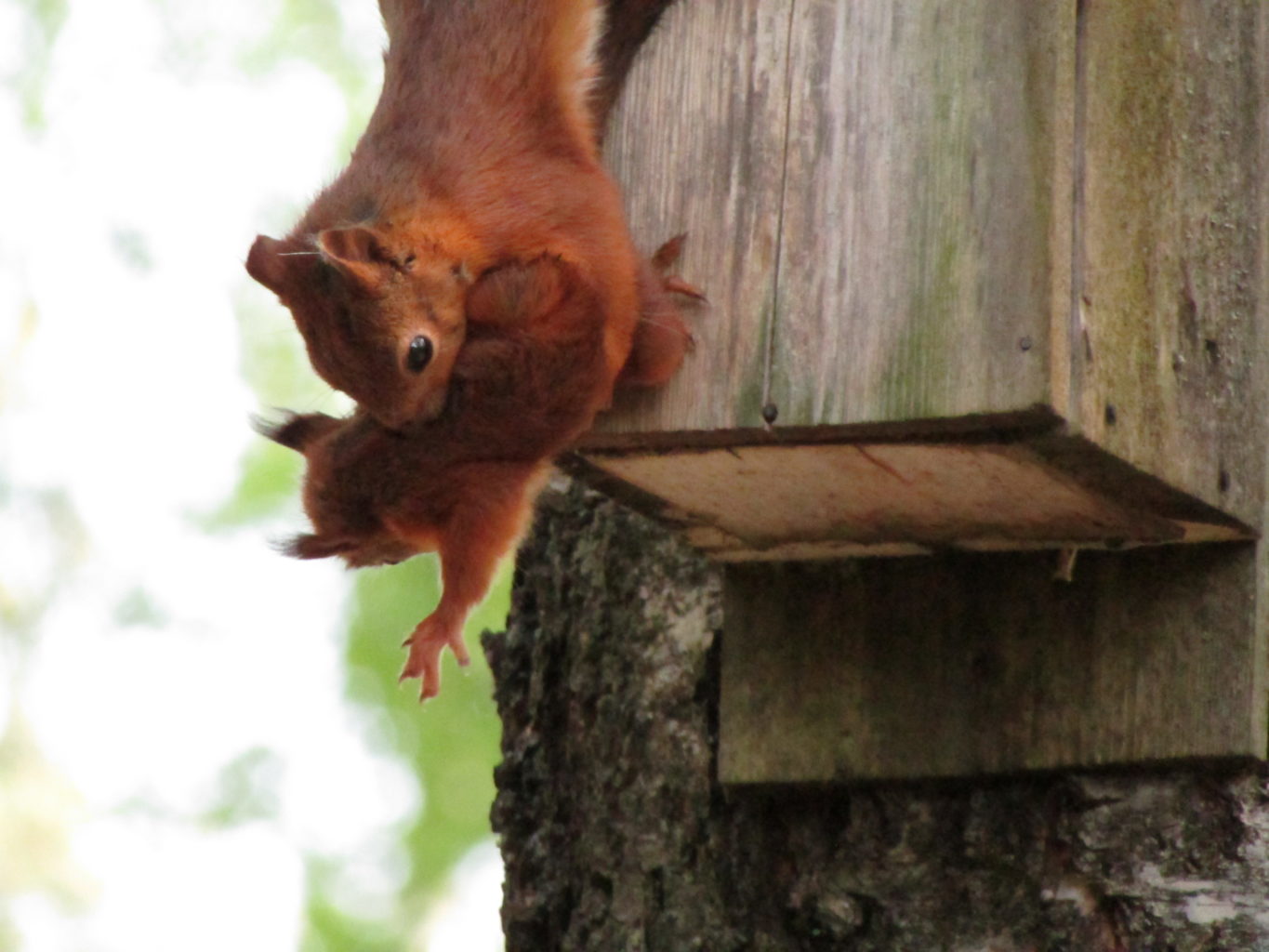 Valokuvaaja: Tuula Valasaari