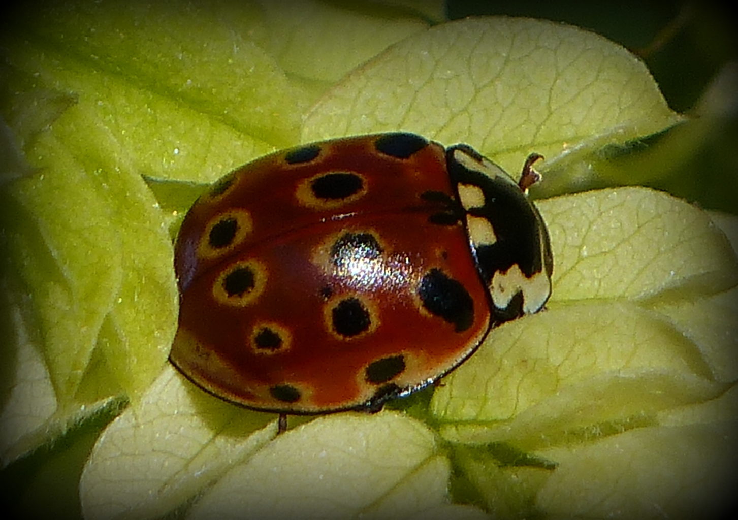Valokuvaaja: Helena Fagerlund