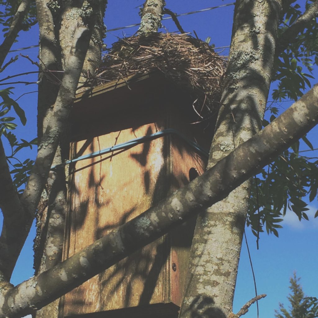 Valokuvaaja: Reijo Isoviita