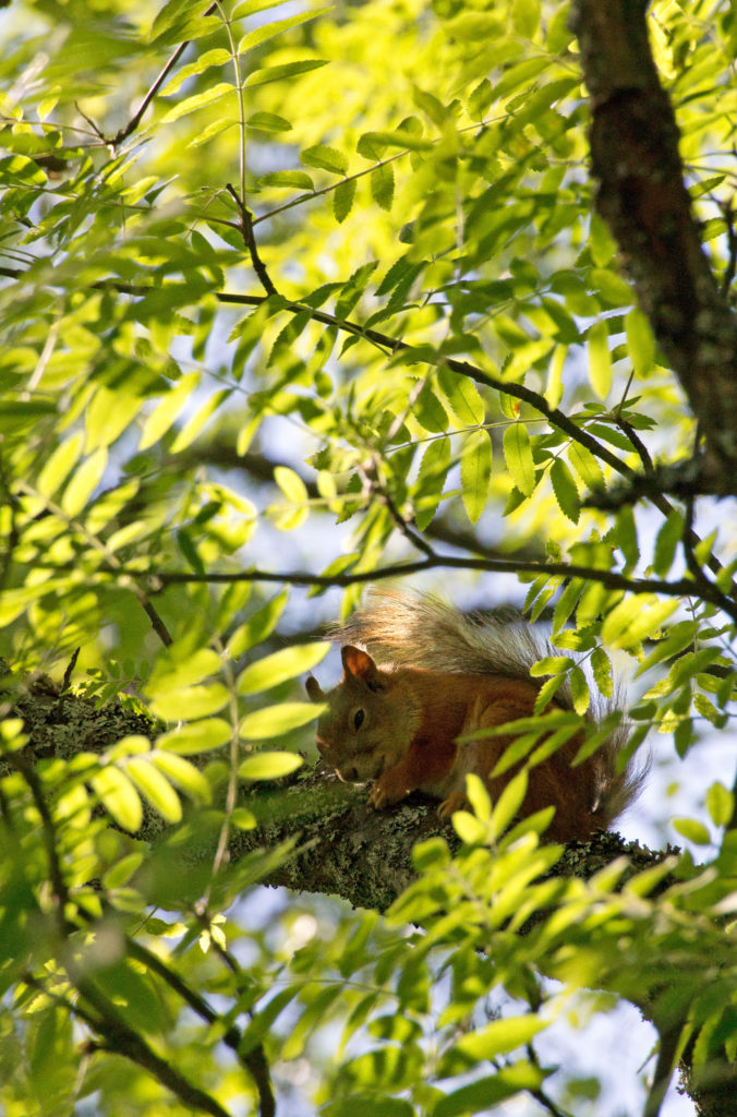 Valokuvaaja: Katri Mäkinen